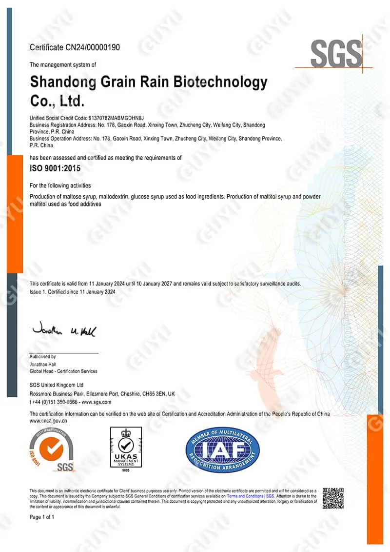 ISO9001
